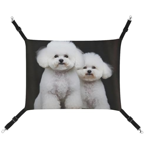 DWVSFJM Bichon Frise Katzenhängematte für Haustiere, Käfig-Hängematte, weiches Haustier-Hängebett mit verstellbaren Gurten und Metallhaken-Muster, warme hängende Haustiermatten für Katzen, kleine DWVSFJM Bichon Frise Katzenhängematte für Haustiere, Käfig-Hängematte, weiches Haustier-Hängebett mit verstellbaren Gurten und Metallhaken-Muster, warme hängende Haustiermatten für Katzen, kleine von DWVSFJM