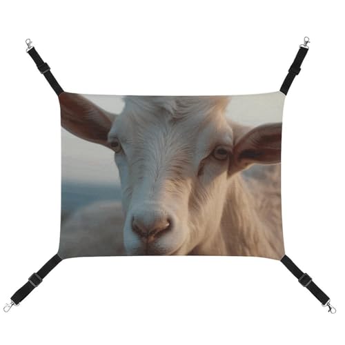 DWVSFJM Docile Ziegenkatzen-Hängematte, verstellbar, ruhend, schläfrige Katze, Fensterpolster, Haustier-Hängematte, weiches Bett für Katzen, Kaninchen oder andere Kleintiere DWVSFJM Docile Ziegenkatzen-Hängematte, verstellbar, ruhend, schläfrige Katze, Fensterpolster, Haustier-Hängematte, weiches Bett für Katzen, Kaninchen oder andere Kleintiere von DWVSFJM