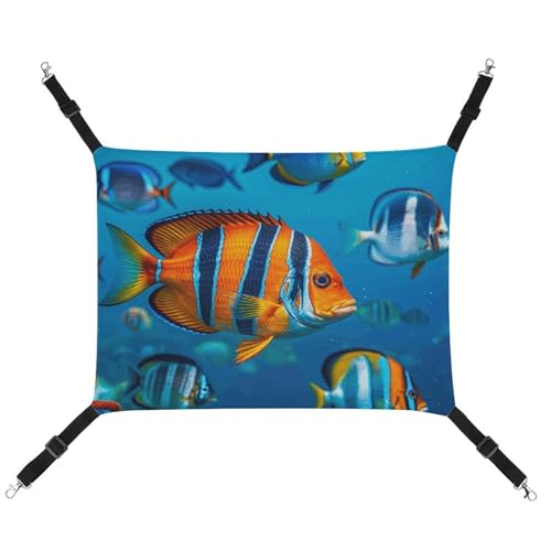 DWVSFJM Fishes Katzenhängematte, verstellbar, ruhend, schläfrige Katze, Fensterpolster, Haustier-Hängematte, weiches Bett für Katzen, Kaninchen oder andere Kleintiere DWVSFJM Fishes Katzenhängematte, verstellbar, ruhend, schläfrige Katze, Fensterpolster, Haustier-Hängematte, weiches Bett für Katzen, Kaninchen oder andere Kleintiere von DWVSFJM