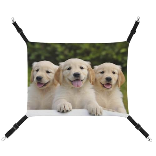 DWVSFJM Golden Retriever Welpen-Katzen-Hängematte Haustierkäfig-Hängematte Weiches Haustier-Hängebett mit verstellbaren Riemen und Metallhaken-Muster, warme hängende Haustiermatten für Katzen, kleine DWVSFJM Golden Retriever Welpen-Katzen-Hängematte Haustierkäfig-Hängematte Weiches Haustier-Hängebett mit verstellbaren Riemen und Metallhaken-Muster, warme hängende Haustiermatten für Katzen, kleine von DWVSFJM