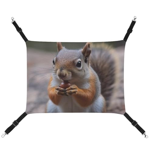 DWVSFJM Niedliche Eichhörnchen-Katzen-Hängematte, Haustierkäfig-Hängematte, weiches Haustier-Hängebett mit verstellbaren Riemen und Metallhaken-Muster, warme hängende Haustiermatten für Katzen, kleine von DWVSFJM