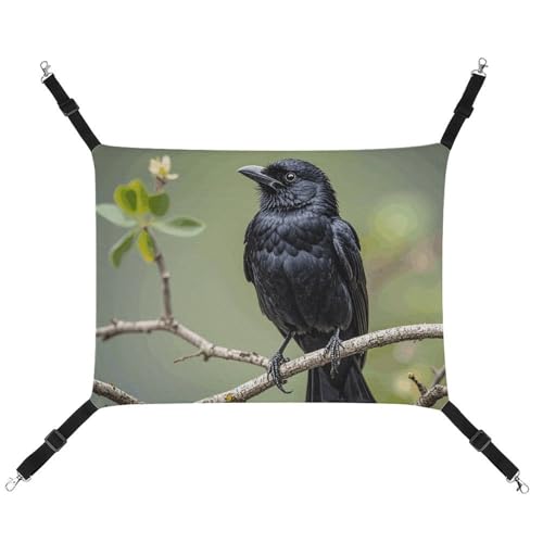 DWVSFJM Schwarze Krähenvögel auf einem Ast, Katzenhängematte, verstellbar, ruhend, schläfrige Katze, Fensterpolster, Haustier-Hängematte, weiches Bett für Katzen, Kaninchen oder andere Kleintiere DWVSFJM Schwarze Krähenvögel auf einem Ast, Katzenhängematte, verstellbar, ruhend, schläfrige Katze, Fensterpolster, Haustier-Hängematte, weiches Bett für Katzen, Kaninchen oder andere Kleintiere von DWVSFJM