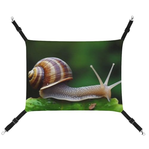 DWVSFJM Tierschnecke Katzen-Hängematte Haustierkäfig-Hängematte weiches Haustier-Hängebett mit verstellbaren Riemen und Metallhaken-Muster, warme hängende Haustiermatten für Katzen, kleine Hunde, von DWVSFJM