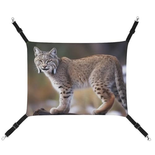 DWVSFJM Wild Bobcat Katzenhängematte, Haustierkäfig-Hängematte, weiches Haustier-Hängebett mit verstellbaren Gurten und Metallhaken-Muster, warme hängende Haustiermatten für Katzen, kleine Hunde, von DWVSFJM