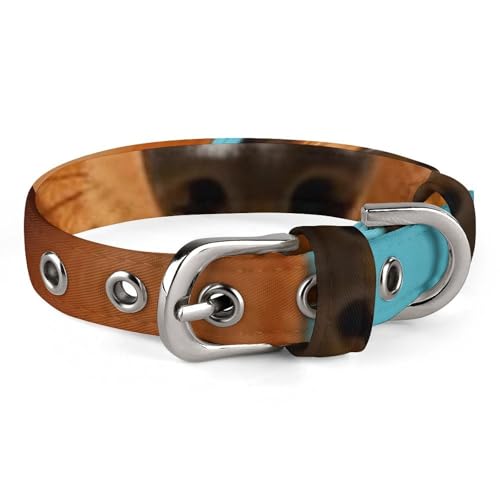 Dackel-Hundehalsband, verstellbar, weich und bequem, Welpenhalsbänder mit Metallschnalle, Haustierhalsband für kleine, mittelgroße Haustiere Dackel-Hundehalsband, verstellbar, weich und bequem, Welpenhalsbänder mit Metallschnalle, Haustierhalsband für kleine, mittelgroße Haustiere von DWVSFJM
