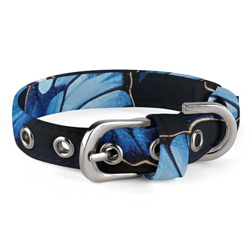 Dunkelblaues Hundehalsband mit Schmetterlingen, verstellbar, weich und bequem, Welpenhalsbänder mit Metallschnalle, Haustierhalsband für kleine, mittelgroße Haustiere Dunkelblaues Hundehalsband mit Schmetterlingen, verstellbar, weich und bequem, Welpenhalsbänder mit Metallschnalle, Haustierhalsband für kleine, mittelgroße Haustiere von DWVSFJM