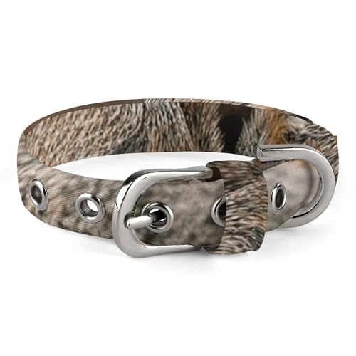 Eichhörnchen Just Laying Hundehalsband, verstellbar, weich und bequem, Welpenhalsbänder mit Metallschnalle, Haustierhalsband für kleine, mittelgroße Haustiere Eichhörnchen Just Laying Hundehalsband, verstellbar, weich und bequem, Welpenhalsbänder mit Metallschnalle, Haustierhalsband für kleine, mittelgroße Haustiere von DWVSFJM