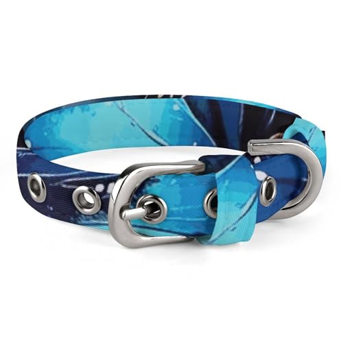 Galaxy Blue Butterfly Hundehalsband, verstellbar, weich und bequem, Welpenhalsbänder mit Metallschnalle, Haustierhalsband für kleine, mittelgroße Haustiere Galaxy Blue Butterfly Hundehalsband, verstellbar, weich und bequem, Welpenhalsbänder mit Metallschnalle, Haustierhalsband für kleine, mittelgroße Haustiere von DWVSFJM