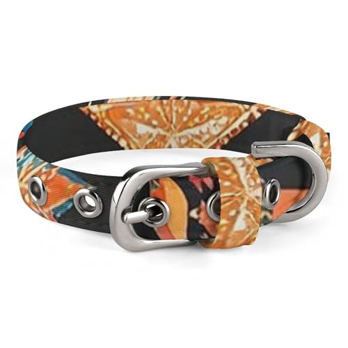 Gorgeous Stars and Moon Hundehalsband, verstellbar, weich und bequem, Welpenhalsband mit Metallschnalle, Haustierhalsband für kleine, mittelgroße Haustiere Gorgeous Stars and Moon Hundehalsband, verstellbar, weich und bequem, Welpenhalsband mit Metallschnalle, Haustierhalsband für kleine, mittelgroße Haustiere von DWVSFJM