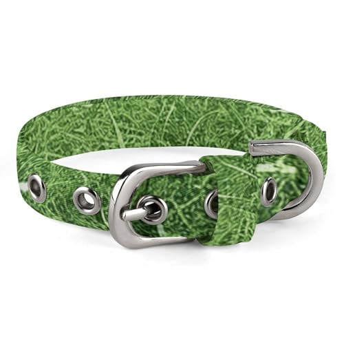 Green Lawn Hundehalsband, verstellbar, weich und bequem, Welpenhalsbänder mit Metallschnalle, Haustierhalsband für kleine, mittelgroße Haustiere Green Lawn Hundehalsband, verstellbar, weich und bequem, Welpenhalsbänder mit Metallschnalle, Haustierhalsband für kleine, mittelgroße Haustiere von DWVSFJM