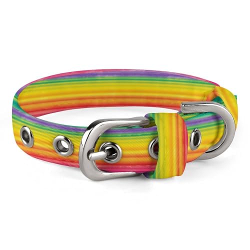 Hundehalsband in Regenbogenfarben, gestreift, mit Metallschnalle, handgefertigt, Traktion, Schutzhülle für kleine, mittelgroße Hunde, Katzen und Haustiere von DWVSFJM