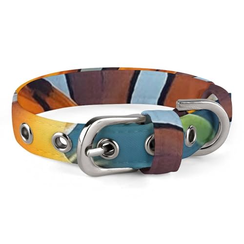 Hundehalsband mit Cartoon-Clownfisch, verstellbar, weich und bequem, Welpenhalsbänder mit Metallschnalle, Haustierhalsband für kleine, mittelgroße Haustiere Hundehalsband mit Cartoon-Clownfisch, verstellbar, weich und bequem, Welpenhalsbänder mit Metallschnalle, Haustierhalsband für kleine, mittelgroße Haustiere von DWVSFJM