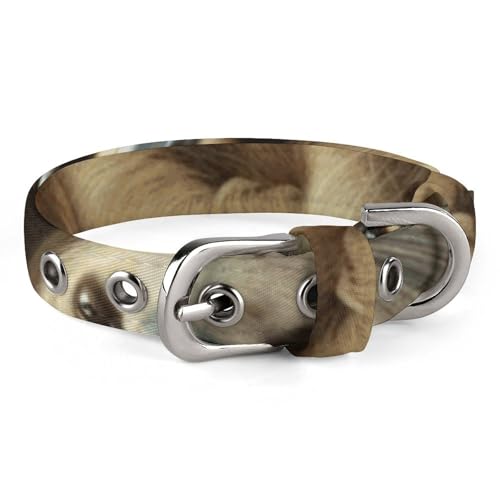 Hundehalsband mit Faultier-Familie, verstellbar, weich und bequem, Welpenhalsbänder mit Metallschnalle, Haustierhalsband für kleine, mittelgroße Haustiere Hundehalsband mit Faultier-Familie, verstellbar, weich und bequem, Welpenhalsbänder mit Metallschnalle, Haustierhalsband für kleine, mittelgroße Haustiere von DWVSFJM