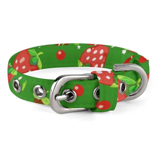 Hundehalsband mit Metallschnalle, handgefertigt, Traktion, Schutzhülle für kleine, mittelgroße Hunde, Katzen und Haustiere von DWVSFJM