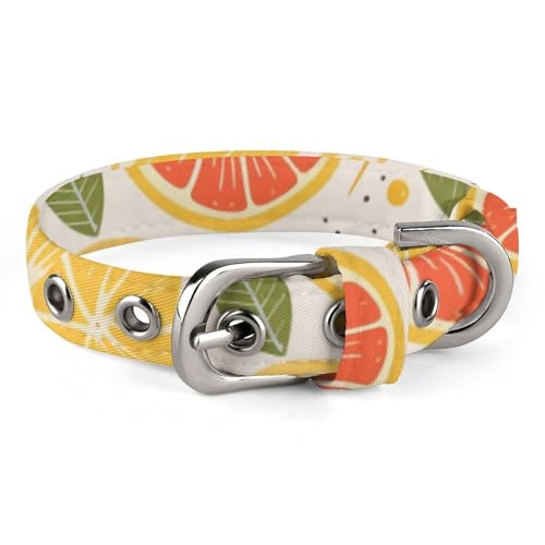 Hundehalsband mit buntem Obstdruck, mit Metallschnalle, handgefertigt, Traktion, Schutzhülle für kleine, mittelgroße Hunde, Katzen und Haustiere von DWVSFJM