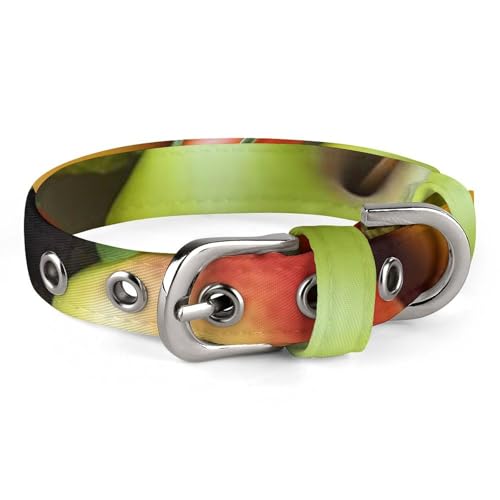 Hundehalsband mit frischem Obst und Gemüse, verstellbar, weich und bequem, Welpenhalsbänder mit Metallschnalle, Haustierhalsband für kleine, mittelgroße Haustiere Hundehalsband mit frischem Obst und Gemüse, verstellbar, weich und bequem, Welpenhalsbänder mit Metallschnalle, Haustierhalsband für kleine, mittelgroße Haustiere von DWVSFJM