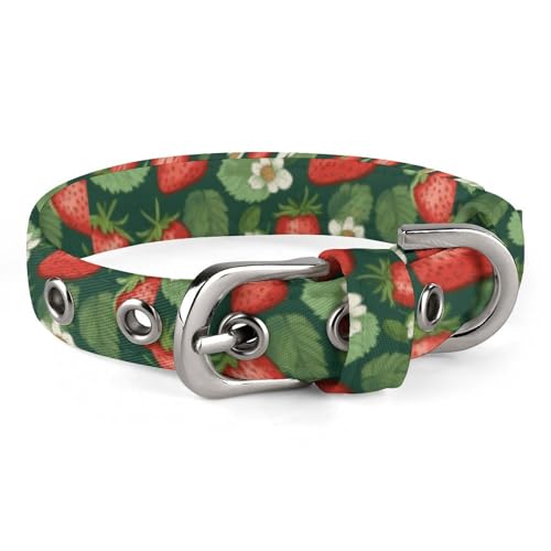 Hundehalsband mit frischen Erdbeeren und Blättern, mit Metallschnalle, handgefertigt, Traktion, Schutzhülle für kleine, mittelgroße Hunde, Katzen und Haustiere von DWVSFJM