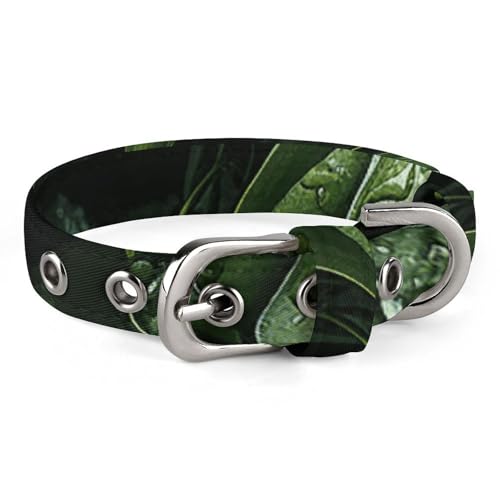 Hundehalsband mit grünem Blättermuster, verstellbar, weich und bequem, Welpenhalsbänder mit Metallschnalle, Haustierhalsband für kleine, mittelgroße Haustiere Hundehalsband mit grünem Blättermuster, verstellbar, weich und bequem, Welpenhalsbänder mit Metallschnalle, Haustierhalsband für kleine, mittelgroße Haustiere von DWVSFJM