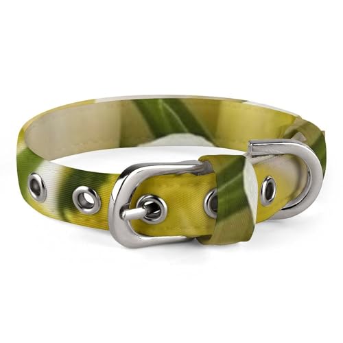 Hundehalsband mit verschiedenen Blumen, verstellbar, weich und bequem, mit Metallschnalle, Haustierhalsband für kleine, mittelgroße Haustiere Hundehalsband mit verschiedenen Blumen, verstellbar, weich und bequem, mit Metallschnalle, Haustierhalsband für kleine, mittelgroße Haustiere von DWVSFJM
