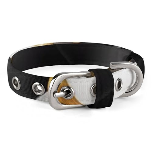 Hundehalsband zum Schulabschluss, verstellbar, weich und bequem, Welpenhalsbänder mit Metallschnalle, Haustierhalsband für kleine, mittelgroße Haustiere Hundehalsband zum Schulabschluss, verstellbar, weich und bequem, Welpenhalsbänder mit Metallschnalle, Haustierhalsband für kleine, mittelgroße Haustiere von DWVSFJM