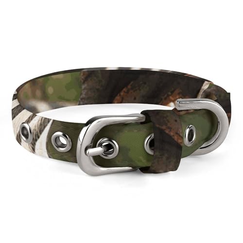 Lustiges Zebra-Hundehalsband, verstellbar, weich und bequem, Welpenhalsbänder mit Metallschnalle, Haustierhalsband für kleine, mittelgroße Haustiere Lustiges Zebra-Hundehalsband, verstellbar, weich und bequem, Welpenhalsbänder mit Metallschnalle, Haustierhalsband für kleine, mittelgroße Haustiere von DWVSFJM