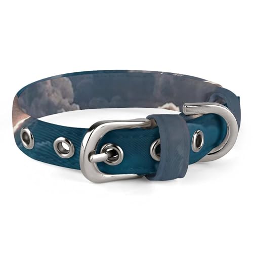 Magnificent Rainstorm Cloud Hundehalsband, verstellbar, weich und bequem, Welpenhalsbänder mit Metallschnalle, Haustierhalsband für kleine, mittelgroße Haustiere Magnificent Rainstorm Cloud Hundehalsband, verstellbar, weich und bequem, Welpenhalsbänder mit Metallschnalle, Haustierhalsband für kleine, mittelgroße Haustiere von DWVSFJM