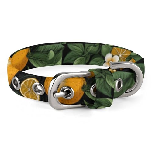 Oranges and Leaves Hundehalsband mit Metallschnalle, handgefertigt, Traktion, Schutzhülle für kleine, mittelgroße Hunde, Katzen und Haustiere von DWVSFJM