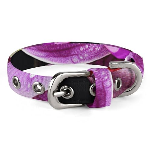 Purple Orchid Hundehalsband, verstellbar, weich und bequem, Welpenhalsbänder mit Metallschnalle, Haustierhalsband für kleine, mittelgroße Haustiere Purple Orchid Hundehalsband, verstellbar, weich und bequem, Welpenhalsbänder mit Metallschnalle, Haustierhalsband für kleine, mittelgroße Haustiere von DWVSFJM