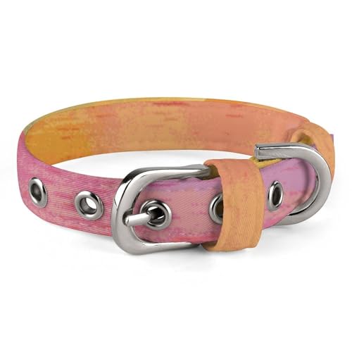 Regenbogen-Hundehalsband mit Metallschnalle, handgefertigt, Traktion, Schutzhülle für kleine, mittelgroße Hunde, Katzen und Haustiere von DWVSFJM