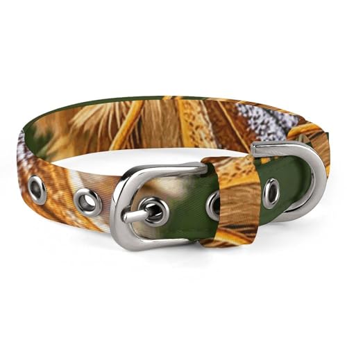 Schönes Hundehalsband mit Mottenflügeln, verstellbar, weich und bequem, Welpenhalsbänder mit Metallschnalle, Haustierhalsband für kleine, mittelgroße Haustiere Schönes Hundehalsband mit Mottenflügeln, verstellbar, weich und bequem, Welpenhalsbänder mit Metallschnalle, Haustierhalsband für kleine, mittelgroße Haustiere von DWVSFJM