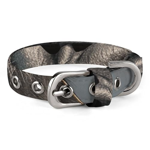 Smiling Gorilla Foto-Hundehalsband, verstellbar, weich und bequem, Welpenhalsbänder mit Metallschnalle, Haustierhalsband für kleine, mittelgroße Haustiere Smiling Gorilla Foto-Hundehalsband, verstellbar, weich und bequem, Welpenhalsbänder mit Metallschnalle, Haustierhalsband für kleine, mittelgroße Haustiere von DWVSFJM