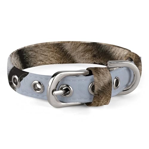 Snow Mountain Wild Wolf Hundehalsband, verstellbar, weich und bequem, Welpenhalsbänder mit Metallschnalle, Haustierhalsband für kleine, mittelgroße Haustiere Snow Mountain Wild Wolf Hundehalsband, verstellbar, weich und bequem, Welpenhalsbänder mit Metallschnalle, Haustierhalsband für kleine, mittelgroße Haustiere von DWVSFJM