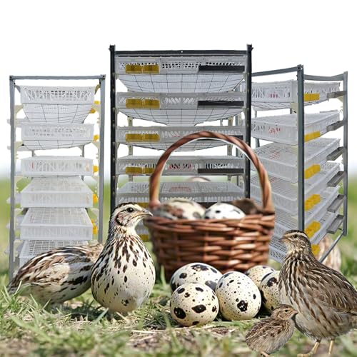6-Etagen-Wachtelstall Für 420 Vögel - Platzsparende Vertikalkonstruktion Mit Einfacher Eierentnahme Für Kommerzielle/Innenstallhaltung(Size:6-Tier) von DWZL