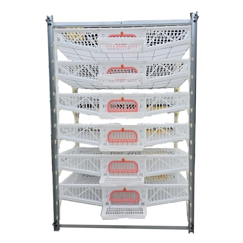 6-Layer-Wachtelkäfig Mit Fütterungssystemen, Einfache Wartung. Die Geflügelkäfige Können 60 Bis 70 Wachteln Pro Ebene Unterbringen Leicht Zu Reinigen Und Zu Warten(Size:6 Tier Quail Cage) von DWZL