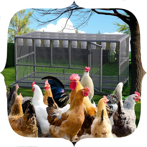 Grau Hühnerstall, Taubenkäfig Entenstange Gänseterrasse Geflügelkäfig Für Den Außenbereich Starke Belüftungsdesign Mit Starker Tragfähigkeit(Size:für 10-12Hühner/6Enten/3Gänse) von DWZL