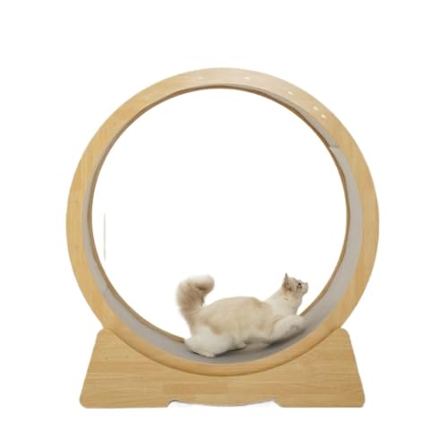 DWZXL Katzenrad Laufband for Katzen, Sport, leiser Roller, Fitness-Track for Haustiere, Kratzbrett for Katzen, Katzenspielzeug, Klettergerüst for Katzen, Katzenbedarf Cat Wheel(M) von DWZXL