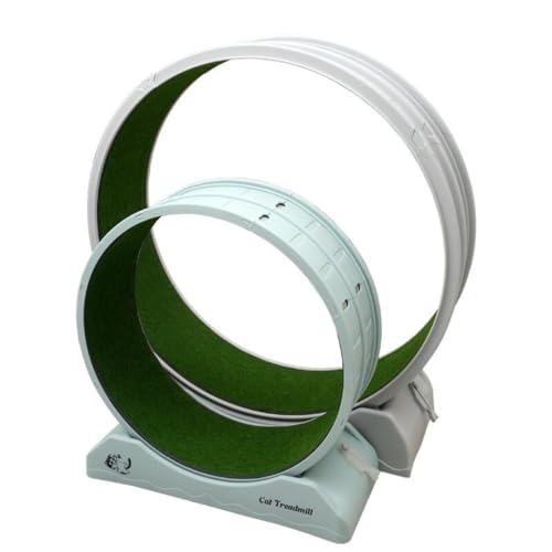 DWZXL Katzenrad Laufband for Katzen, geräuscharm, aus Kunststoff, Rollenspielzeug, Haustier, kein Feststecken, Rad, Sport, rund, for Katzen, Fitness, Zuhause, drinnen Cat Wheel(Blue) von DWZXL