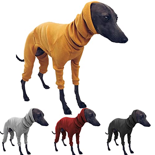 DXFWYTZQ Winter-Hundemantel, Jacke, eng, Hundepullover, Hundekleidung, Windhunde, Rollkragenpullover, warmes T-Shirt, Haustierkleidung für Windhunde, Whippet, Englischer Fuchshund (Gelb, Größe 3XL) von DXFWYTZQ