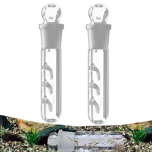 DXIA 2 Pcs Klarglas Planaria Falle und Schnecken Falle, Planarienfalle mit 3 Löchern, Planare Falle Glasegel Blutegel Catcher Trap Röhren Fangen, Worm Catch Pen für Planarien im Aquarium DXIA 2 Pcs Klarglas Planaria Falle und Schnecken Falle, Planarienfalle mit 3 Löchern, Planare Falle Glasegel Blutegel Catcher Trap Röhren Fangen, Worm Catch Pen für Planarien im Aquarium von DXIA