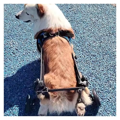 DXYOYONGOZ Rollstuhl für Hunde, Hunderollstuhl, Hunde-Hinterbein-Rollstuhlunterstützung, verstellbare Hundeassistenzwagen mit Rädern, Gehhilfen for kleine amputierte Haustiere(Small) von DXYOYONGOZ
