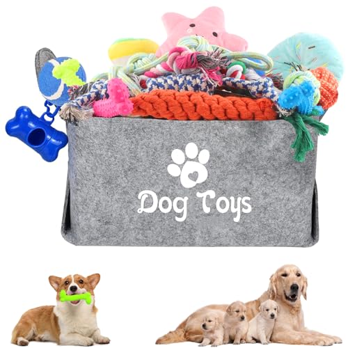 DXiongW 24 Stück Welpenspielzeug Set Quietschendes Hundespielzeug und Kauspielzeug für Kleine Hunde Interaktives Hundeseile Spielzeug aus Baumwolle Welpenspielzeug zum Zahnen mit Aufbewahrungsbox von DXiongW