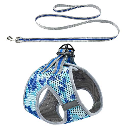 DYAprWu Atmungsaktives Air-Mesh-Hundegeschirr und Leine, Set für kleine und mittelgroße Hunde und Katzen, Größe L (Halsumfang 40,6 cm, Brustumfang 43,2 cm), Blau von DYAprWu