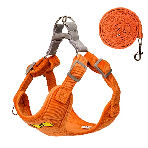 Hundegeschirr mit Leine, weiches Hundegeschirr und Leine, Set für Hunde und Katzen, kein Würgen, ausbruchsicher, reflektierend, für kleine, mittelgroße Hunde und Katzen, Orange, Größe M Hundegeschirr mit Leine, weiches Hundegeschirr und Leine, Set für Hunde und Katzen, kein Würgen, ausbruchsicher, reflektierend, für kleine, mittelgroße Hunde und Katzen, Orange, Größe M von DYAprWu