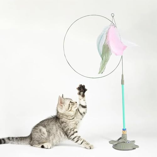 DYKeWei Katzenspielzeug Selbstbeschäftigung Interaktiver Katzen-Teaser-Stab mit 3 Arten von Ersatzfedern. Handgenähte Federn. Übung Unterhaltung für aktive Katzen. Wurm Katzenspielzeug (C, One Size) DYKeWei Katzenspielzeug Selbstbeschäftigung Interaktiver Katzen-Teaser-Stab mit 3 Arten von Ersatzfedern. Handgenähte Federn. Übung Unterhaltung für aktive Katzen. Wurm Katzenspielzeug (C, One Size) von DYKeWei