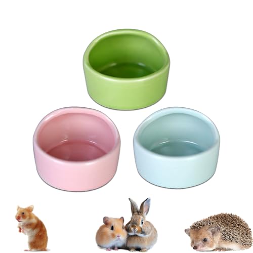 3 Stück Hamster Keramik Futterschalen Set Kleintiere Keramische Näpfe Meerschweinchen Futternapf Rennmaus zwerghamster Mäuse Anti-Biss Zubehör 3 Stück Hamster Keramik Futterschalen Set Kleintiere Keramische Näpfe Meerschweinchen Futternapf Rennmaus zwerghamster Mäuse Anti-Biss Zubehör von DYOUen
