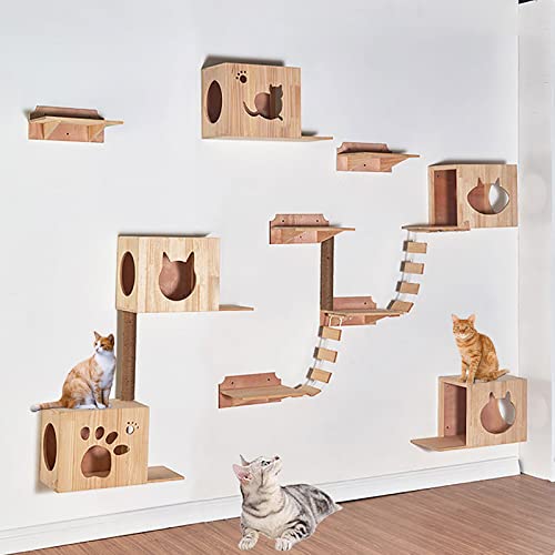 Katzenwandregal und Bett, modernes Katzenmöbel zur Wandmontage mit 3 Katzenhängematten und 4 Stufen Katzentreppen, für mittelgroße/große Katzen zum Klettern von DYTWXG