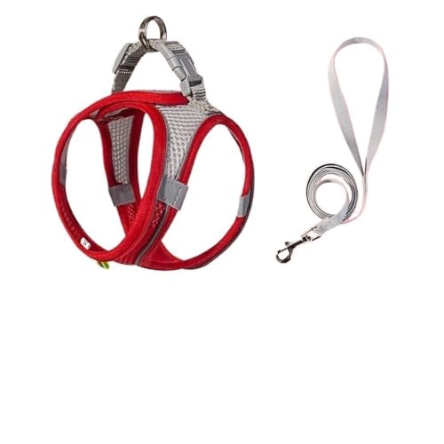 Hundeweste mit Clip vorne und hinten, verstellbar, weich gepolstert, Leinenhalter for Haustiere, begehbare Hundeweste und Leinenholster, leichtes Westengeschirr for Training oder Spazierengehen, kontr Hundeweste mit Clip vorne und hinten, verstellbar, weich gepolstert, Leinenhalter for Haustiere, begehbare Hundeweste und Leinenholster, leichtes Westengeschirr for Training oder Spazierengehen, kontr von DYUES-SDOEMVIEN