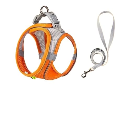 Hundeweste mit Clip vorne und hinten, verstellbar, weich gepolstert, Leinenhalter for Haustiere, begehbare Hundeweste und Leinenholster, leichtes Westengeschirr for Training oder Spazierengehen, kontr Hundeweste mit Clip vorne und hinten, verstellbar, weich gepolstert, Leinenhalter for Haustiere, begehbare Hundeweste und Leinenholster, leichtes Westengeschirr for Training oder Spazierengehen, kontr von DYUES-SDOEMVIEN
