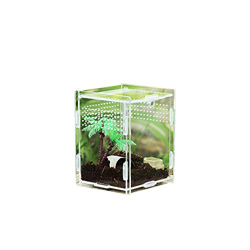DZAY Acryl-fütterungsbox,Transparente Fütterungsbox Reptilienzuchtbecken Terrarium Transportbox Fütterungsbox 360 Grad Hochtransparentes Terrarium Insekten Fütterung Zucht Box Für Spide, Eidechse (S) von DZAY