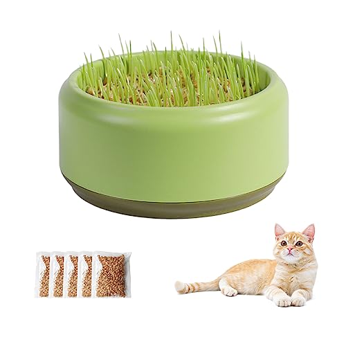 DZAY Katzengraspflanze, Katzengras für Innenkatzen Pflanzkasten, Plastik Katze Grassamen Sprouter Cat Grassbox,hilft bei der Verdauung,Innen im Freien im Freien für Haustier von DZAY